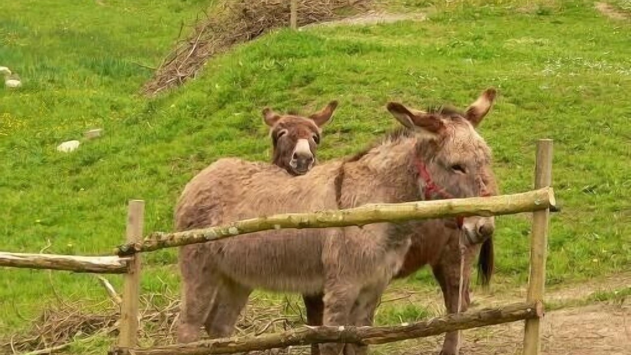 Photo of Outdoor in Gratot