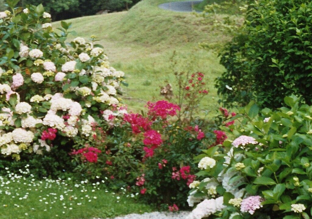 Photo of Outdoor in Gratot