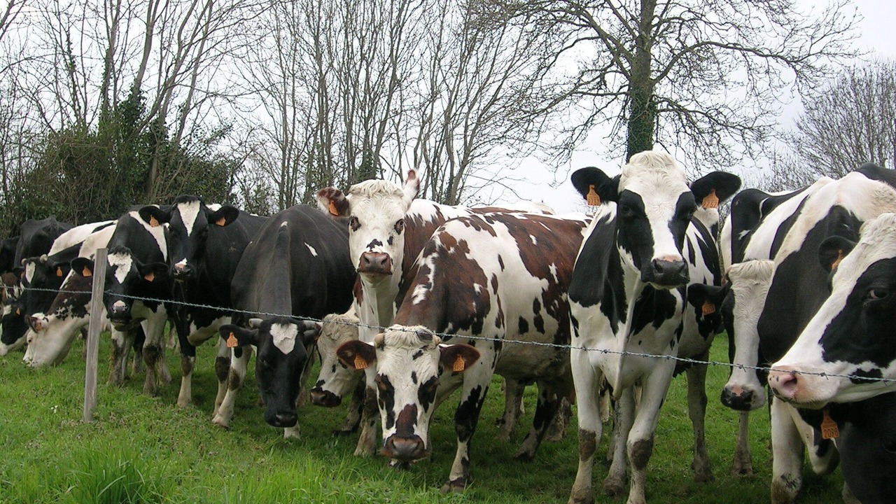 Photo of Outdoor in Gratot