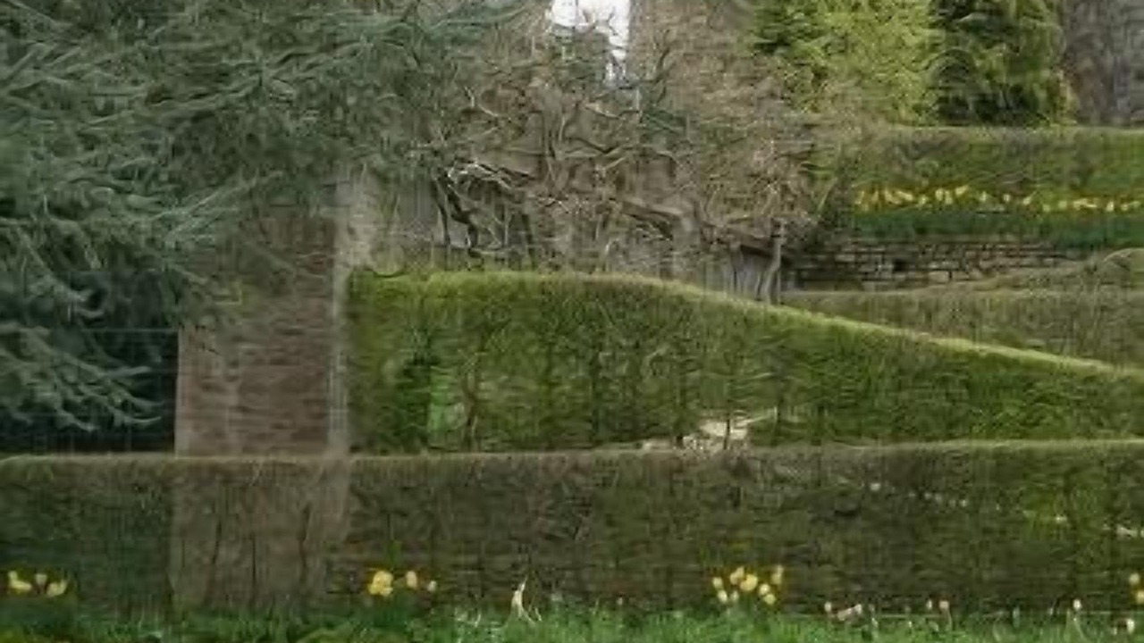 Photo of Outdoor in Gratot