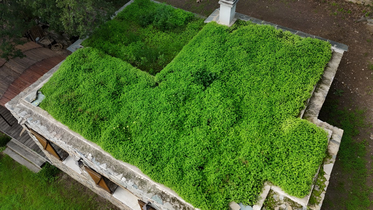 Photo of Outdoor in Pozzo