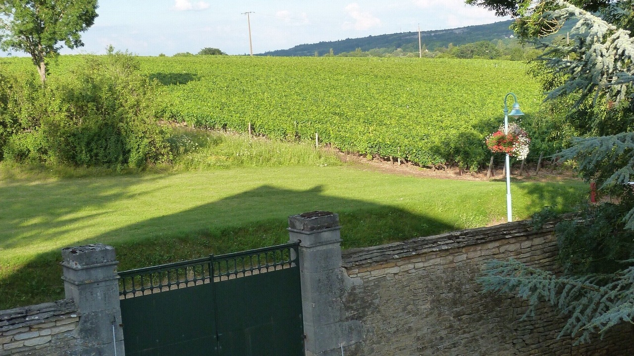 Photo of Outdoor in Santenay