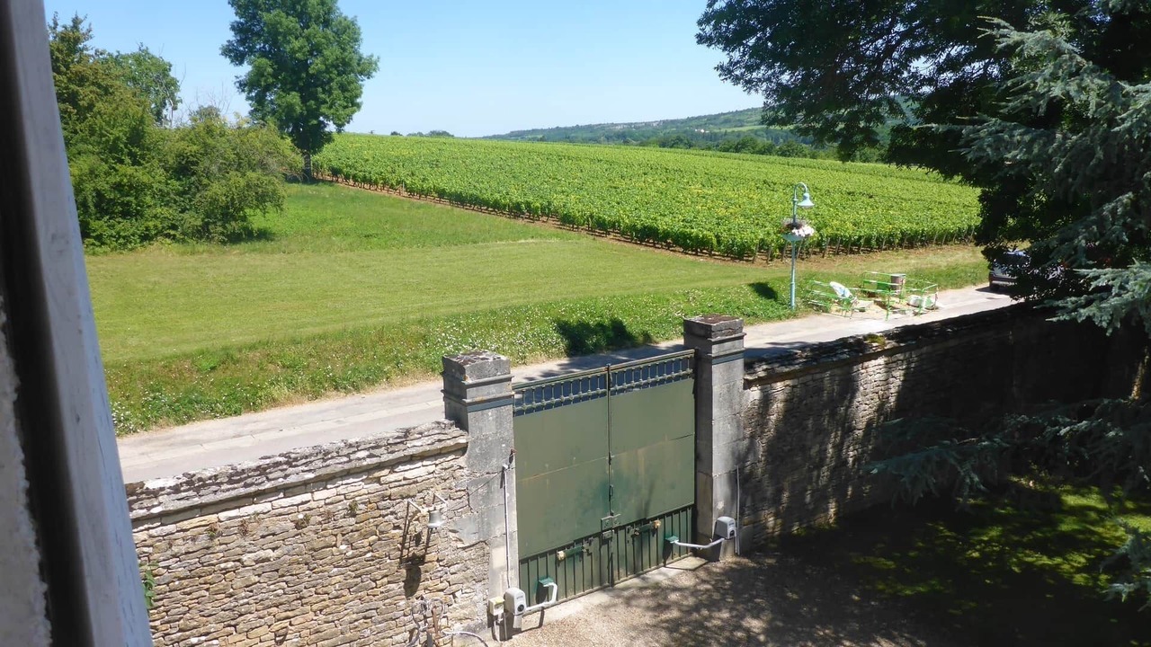 Photo of Others in Santenay