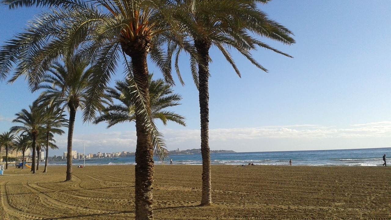 Photo of Others in Pla del Bon Repos