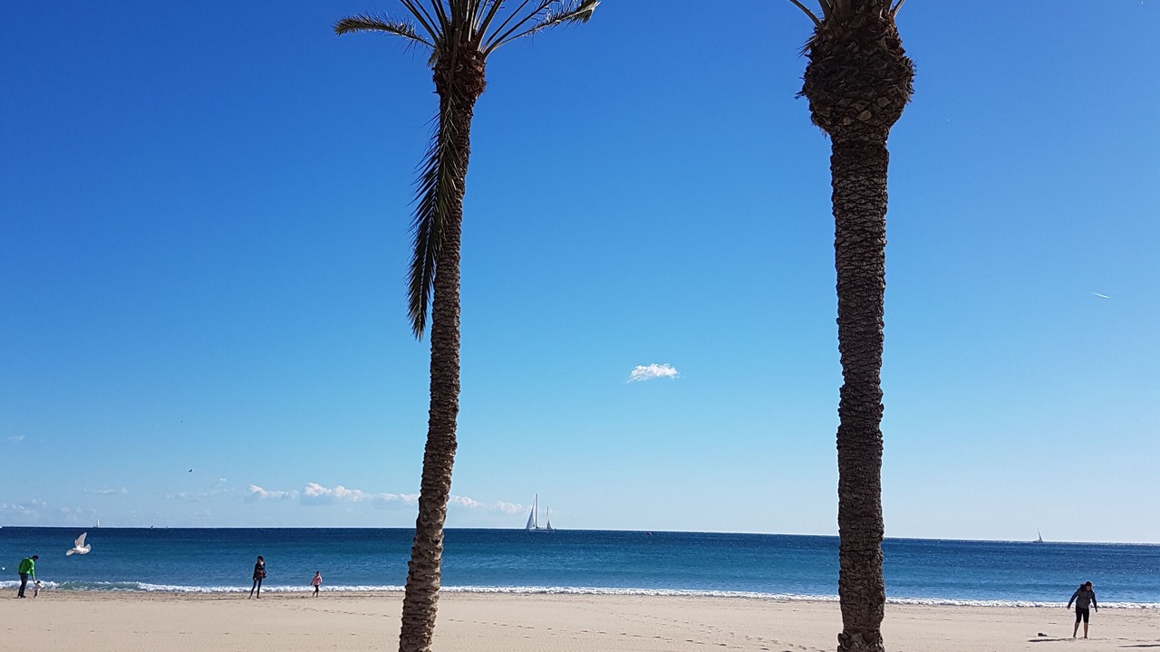 Photo of Others in Pla del Bon Repos