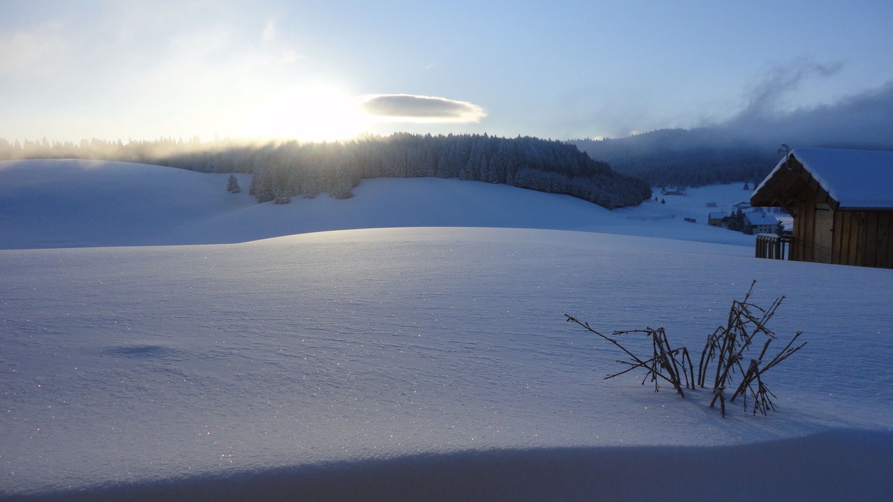 Photo of Others in Septmoncel les Molunes