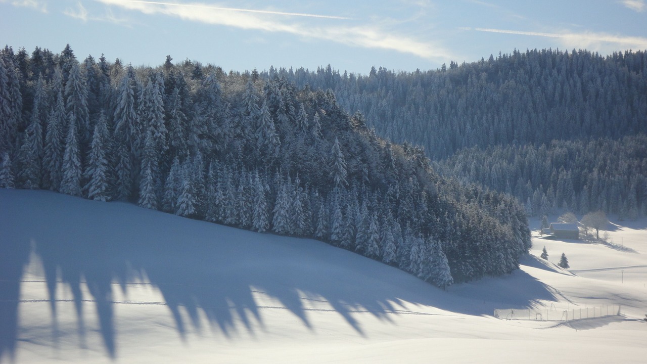 Photo of Others in Septmoncel les Molunes