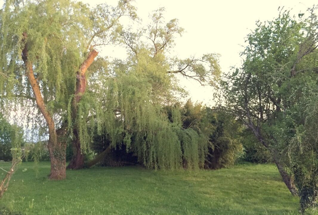 Photo of Outdoor in Rouffiac