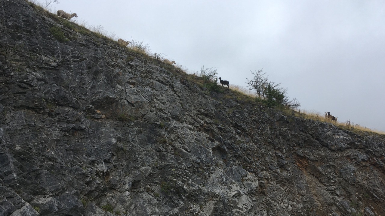 Photo of Others in Portet-d'Aspet