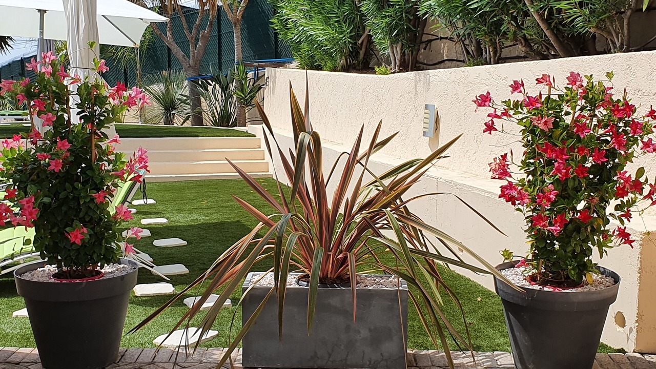 Photo of Outdoor in Cagnes-sur-Mer