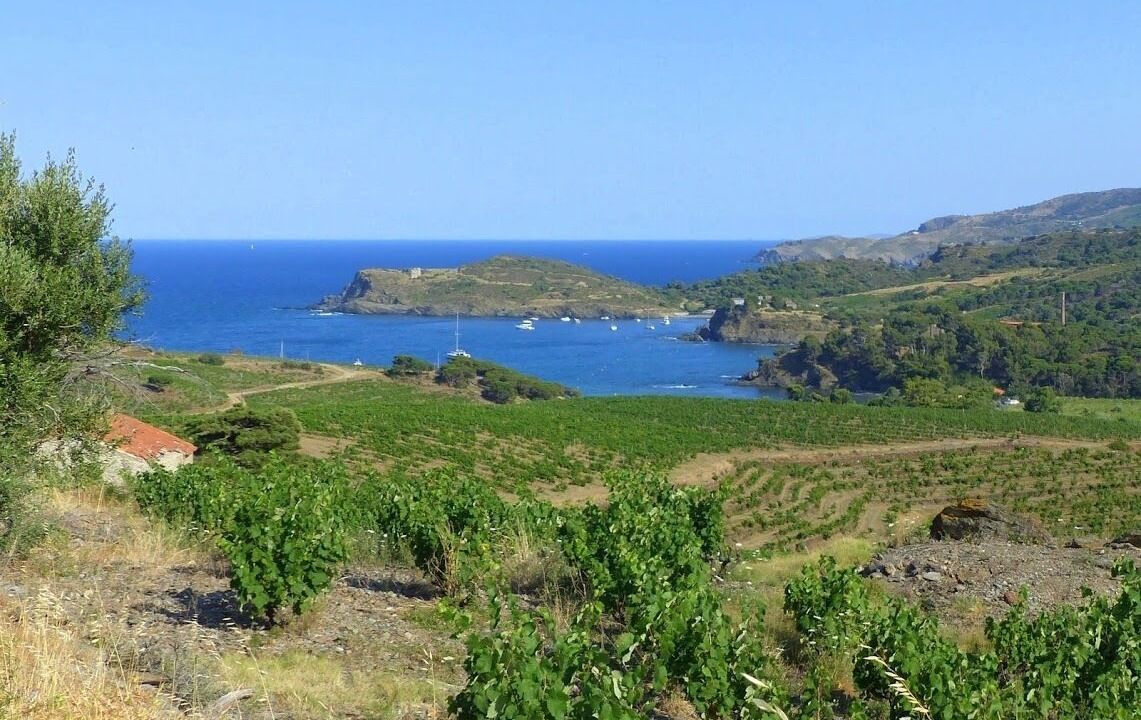 Photo of Others in Maureillas-Las-Illas