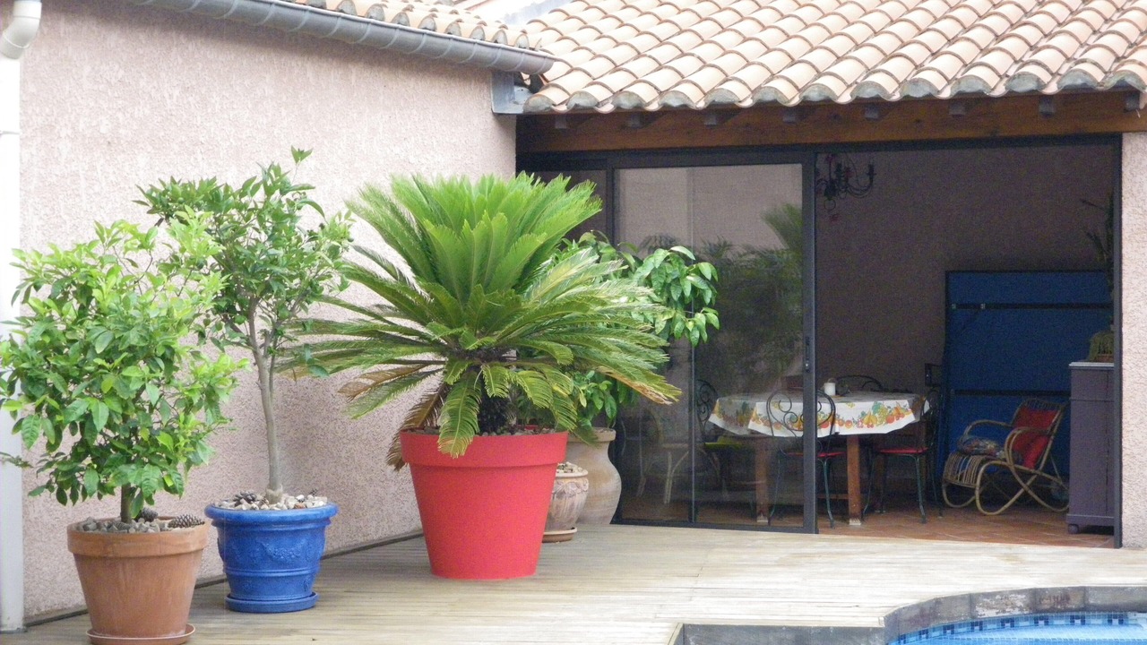 Photo of Outdoor in Maureillas-Las-Illas