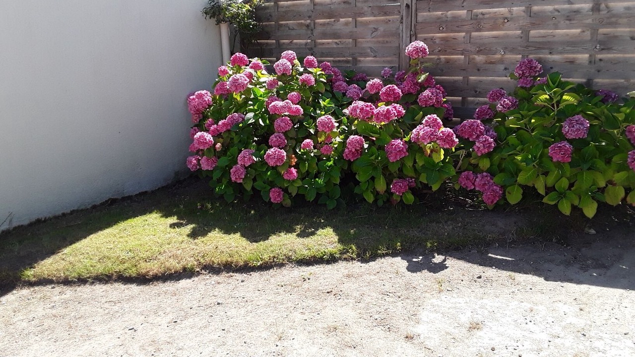 Photo of Outdoor in Erdeven