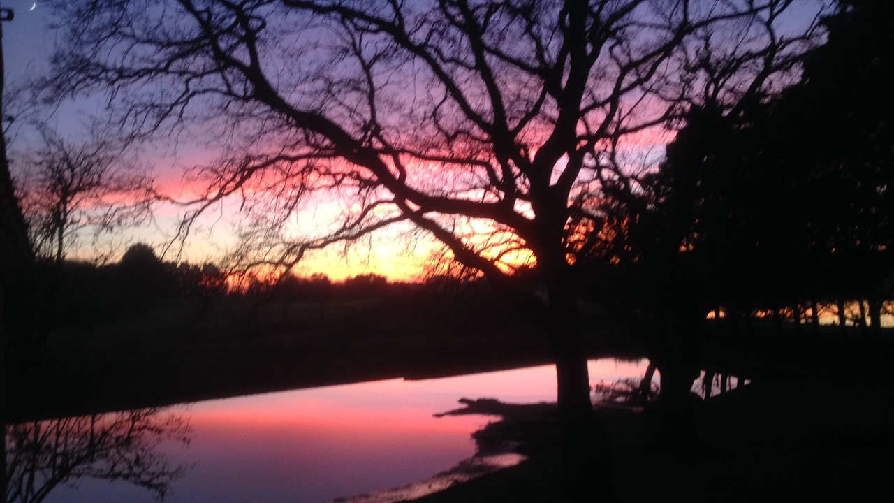 Photo of Outdoor in Baden