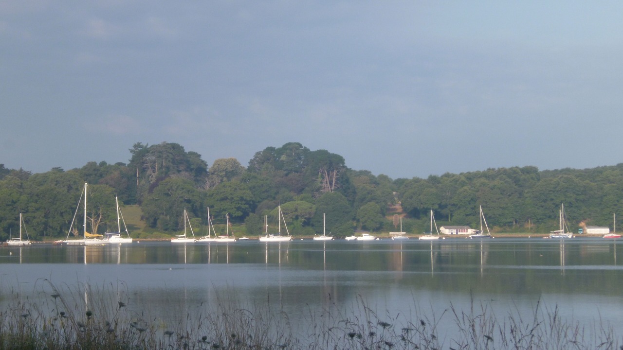 Photo of Others in Baden