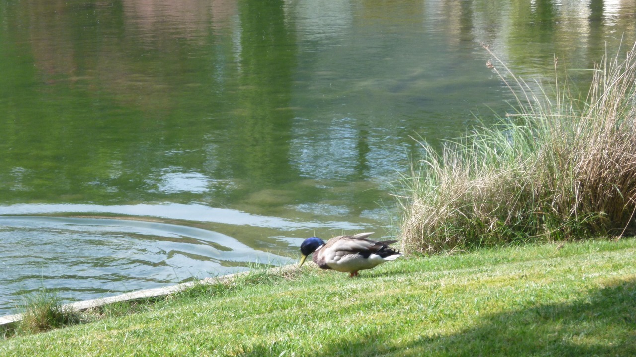 Photo of Outdoor in Baden