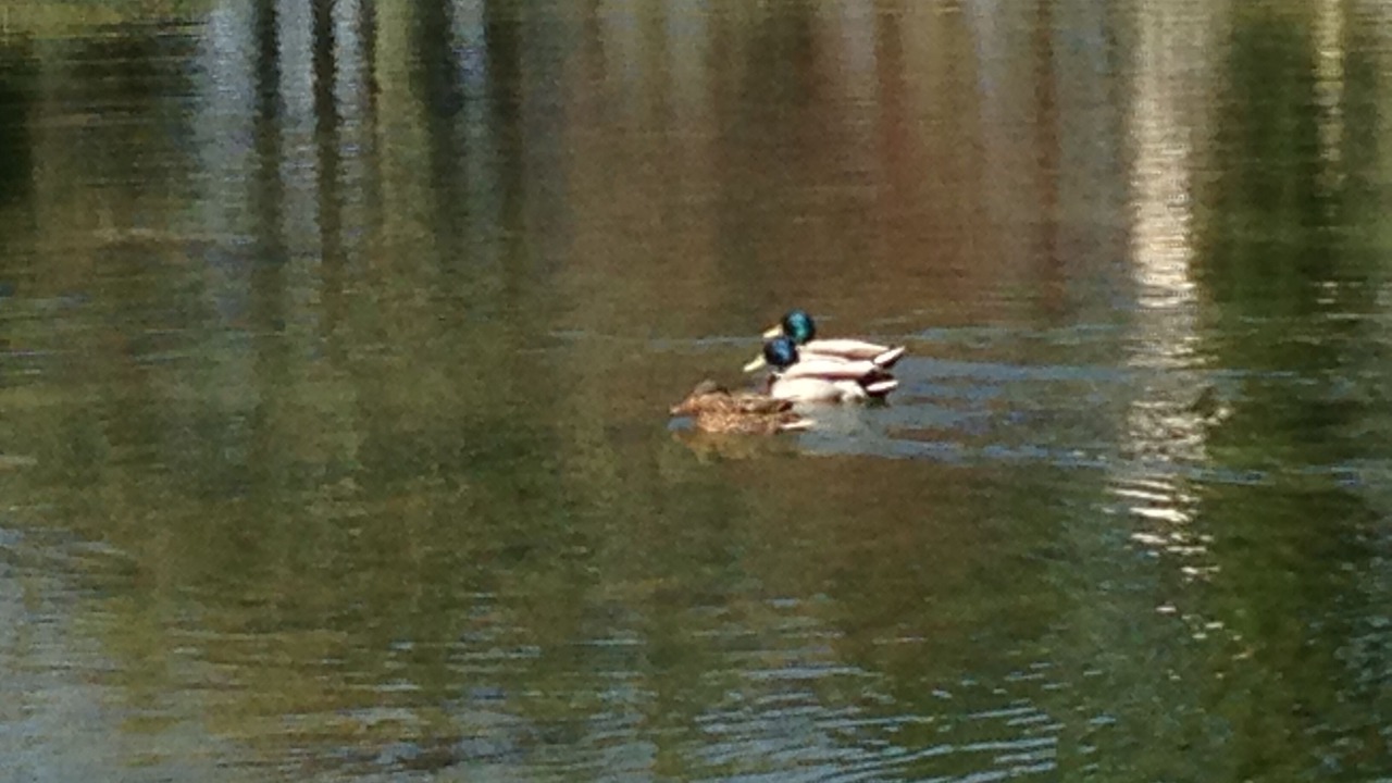 Photo of Outdoor in Baden