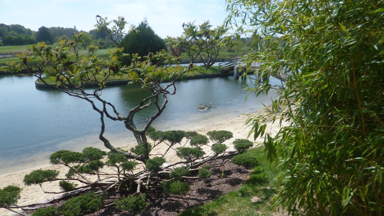 Photo of Others in Baden