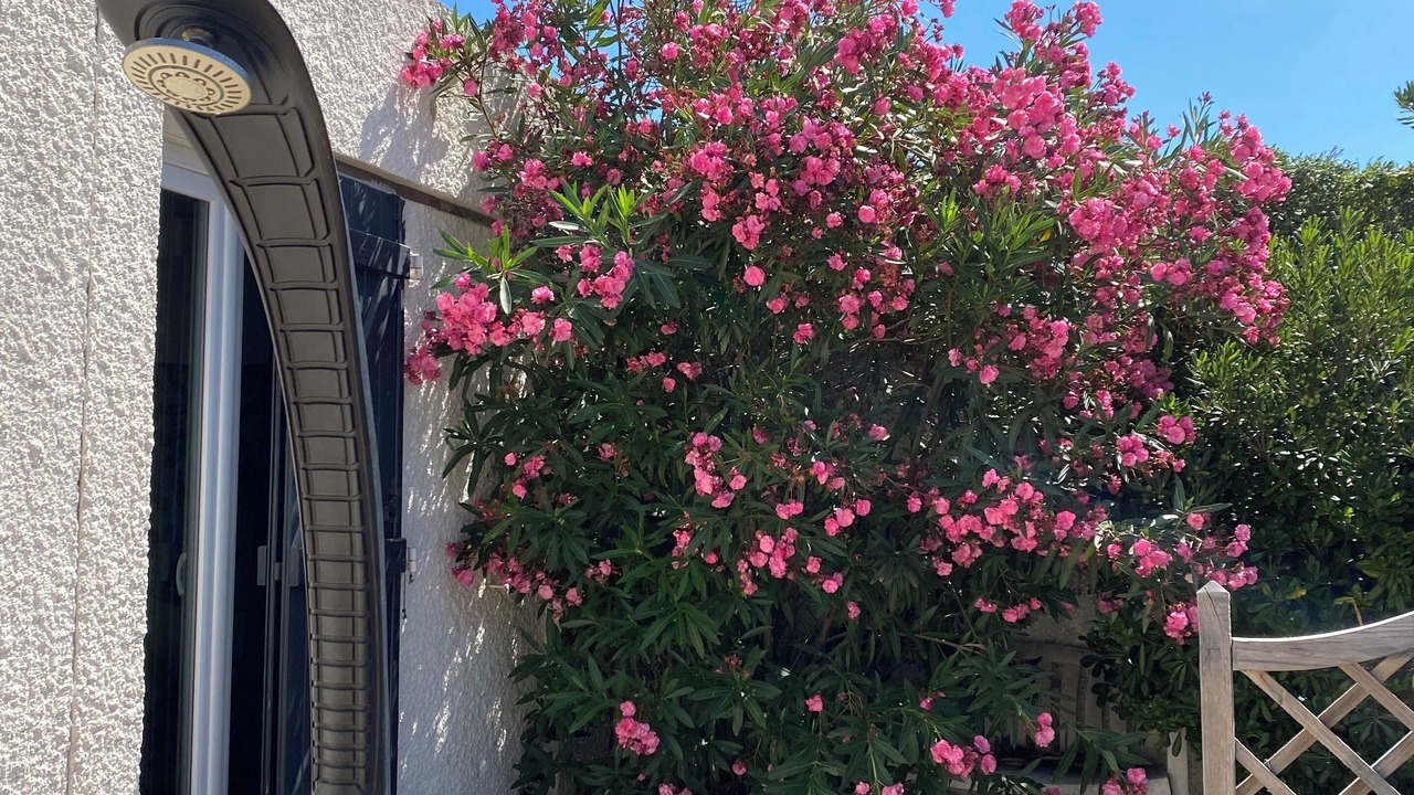 Photo of Outdoor in Le Barcares
