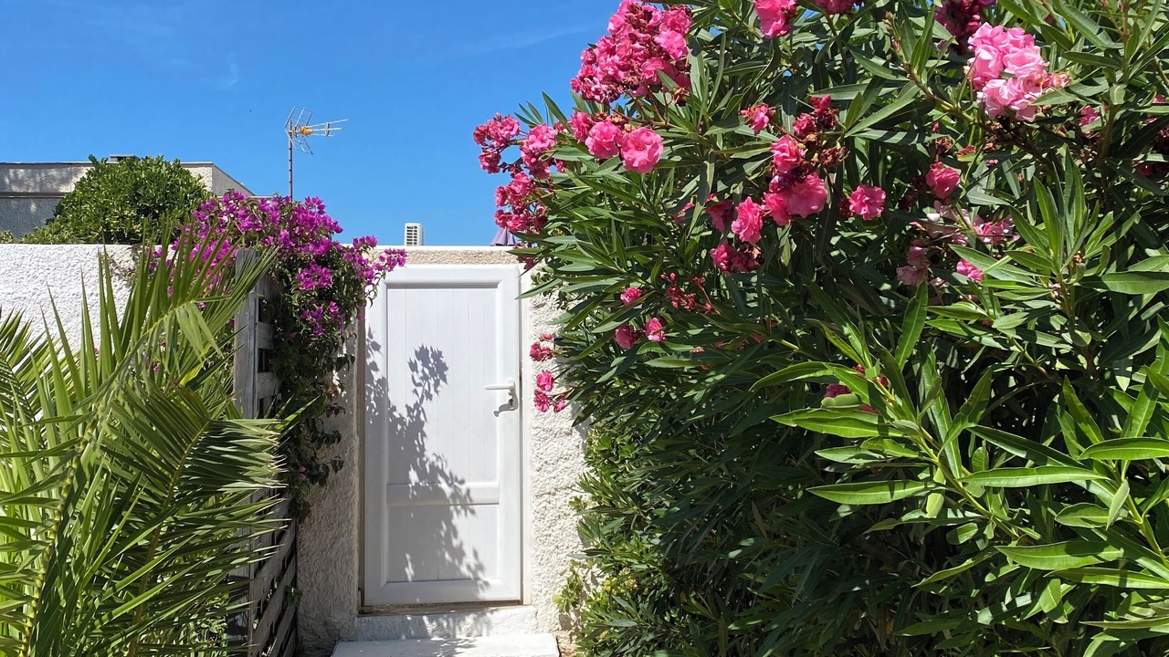 Photo of Outdoor in Le Barcares