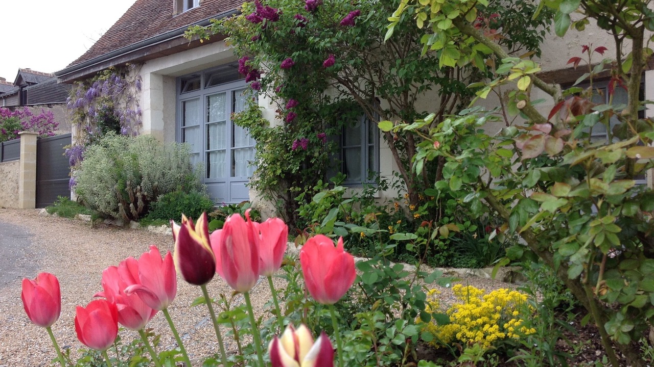 Photo of Outdoor in Amboise