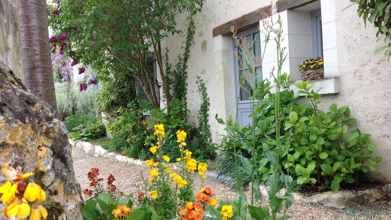 Photo of Outdoor in Amboise