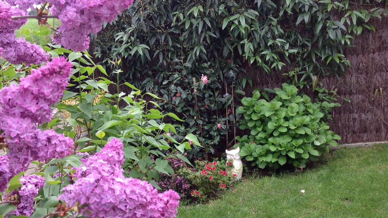 Photo of Outdoor in Amboise