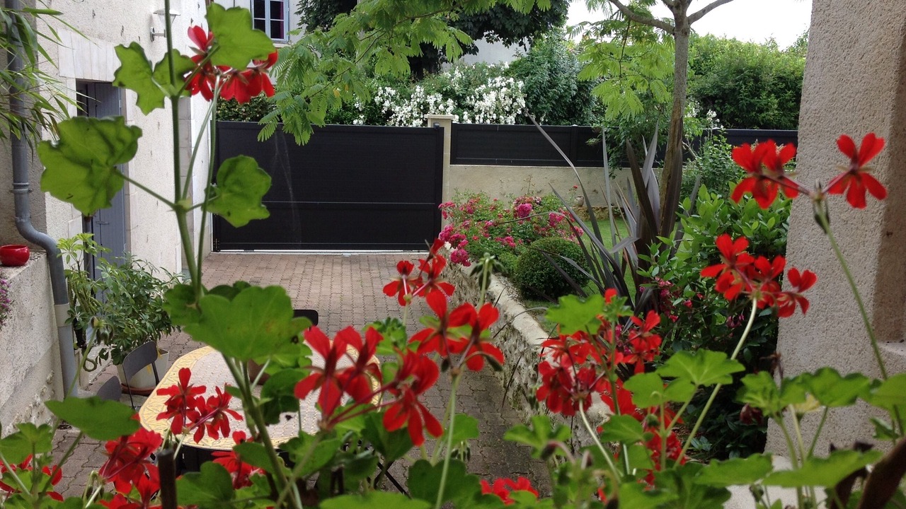 Photo of Outdoor in Amboise