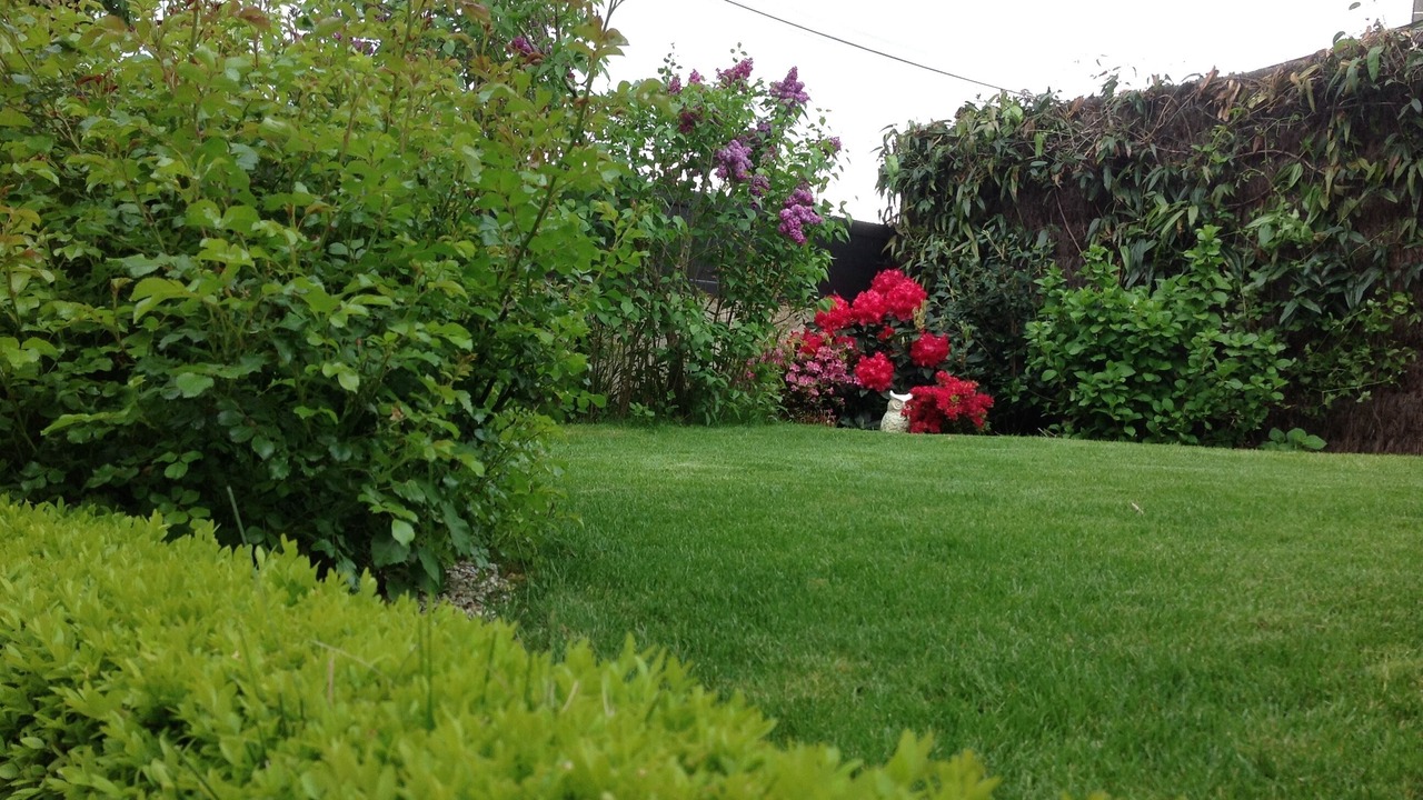 Photo of Outdoor in Amboise