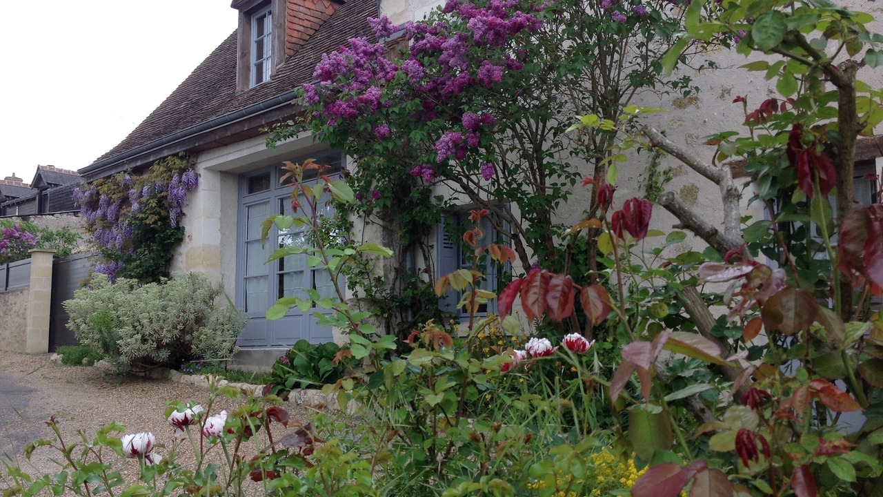 Photo of Outdoor in Amboise