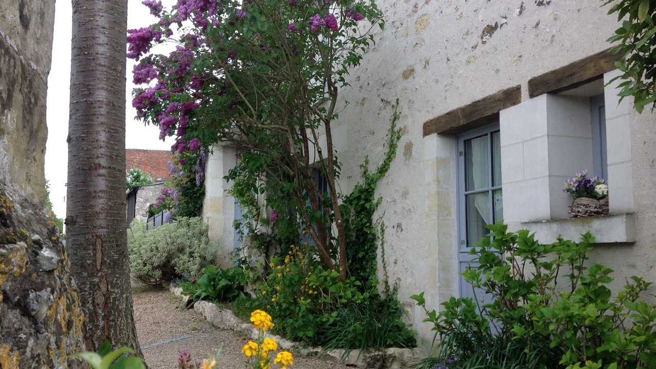 Photo of Outdoor in Amboise