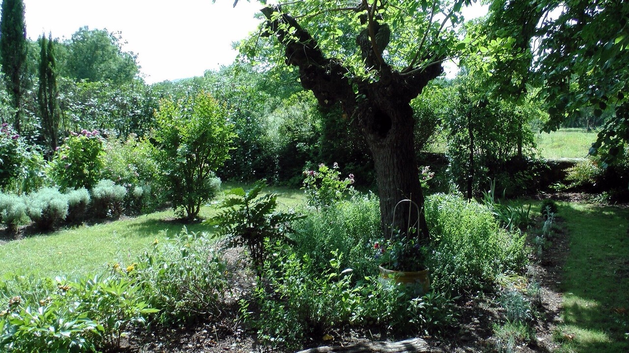 Photo of Outdoor in Lablachere