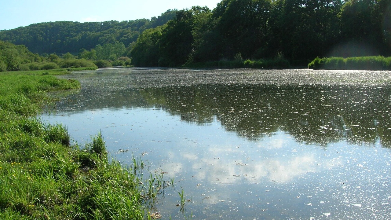 Photo of Outdoor in Les Isles-Bardel