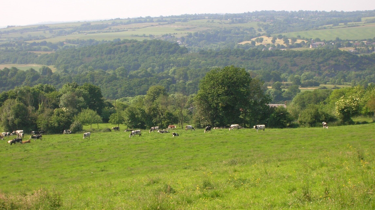 Photo of Outdoor in Les Isles-Bardel