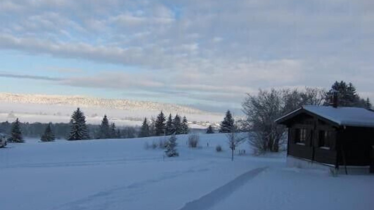 Photo of Others in Grande-Riviere