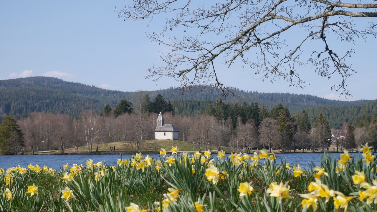 Photo of Outdoor in Xonrupt-Longemer