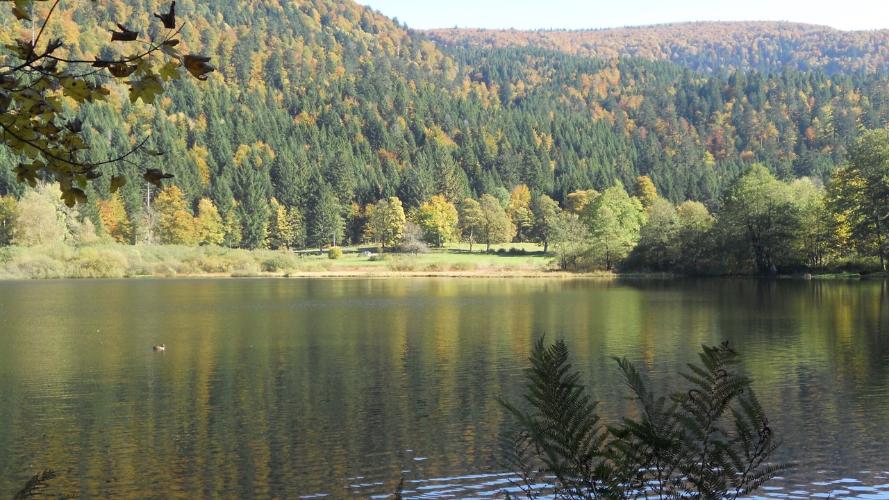 Photo of Outdoor in Xonrupt-Longemer