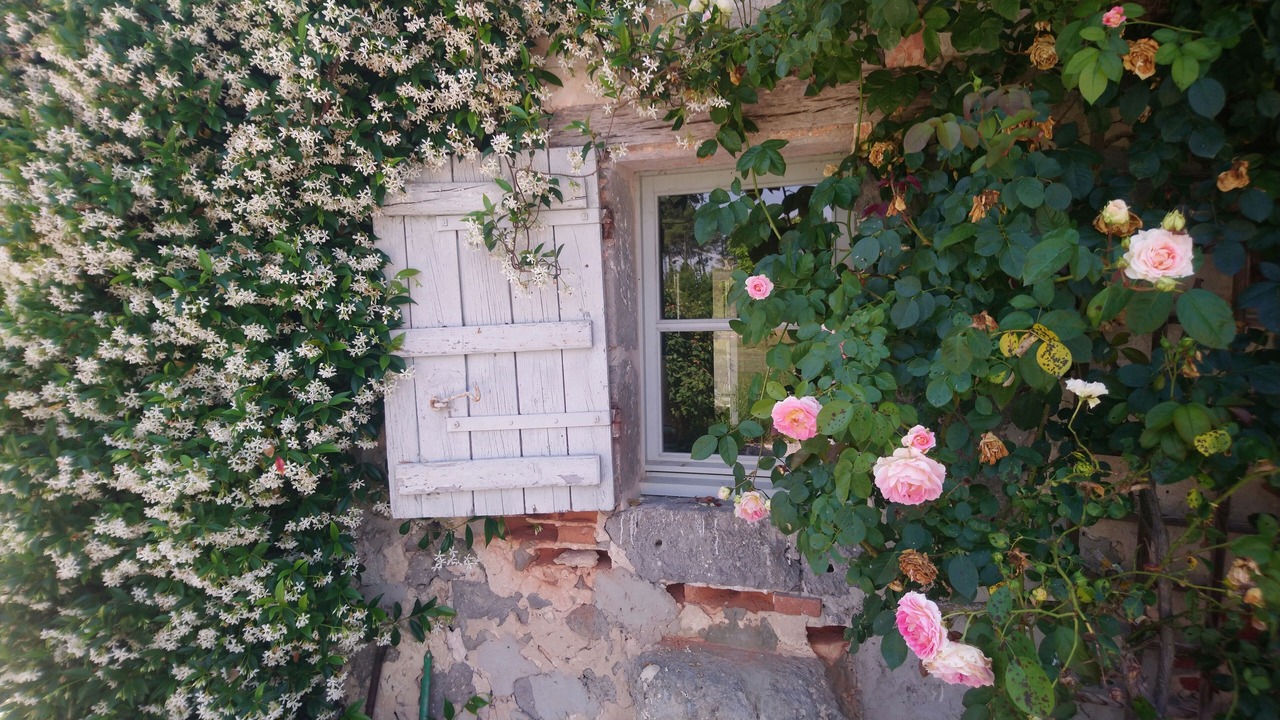 Photo of Outdoor in Fargues-sur-Ourbise