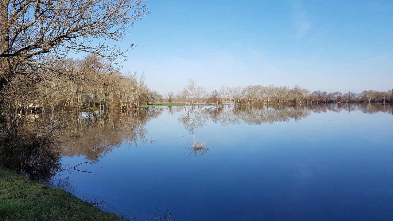 Photo of Outdoor in Queyrac