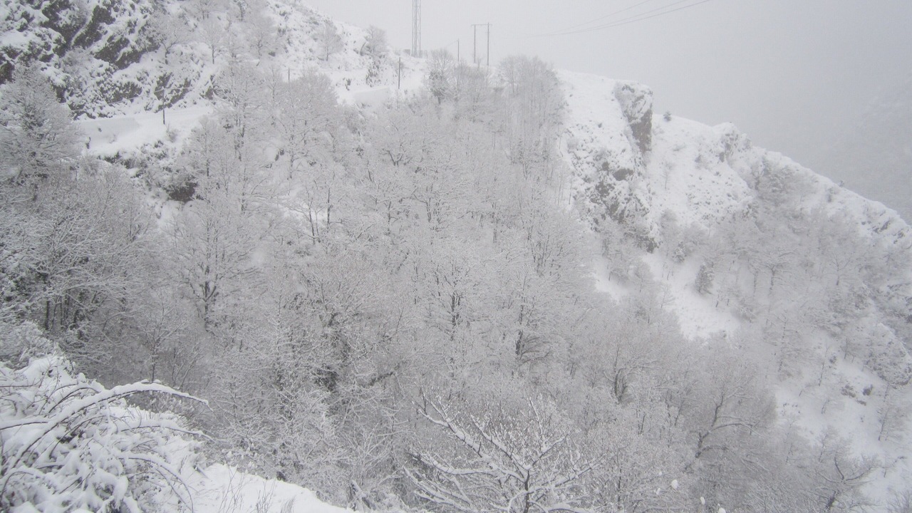 Photo of Others in Nohedes
