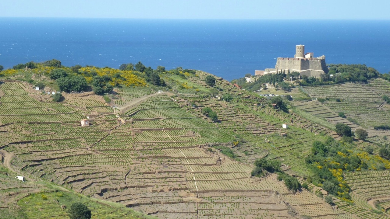 Photo of Others in Cerbere