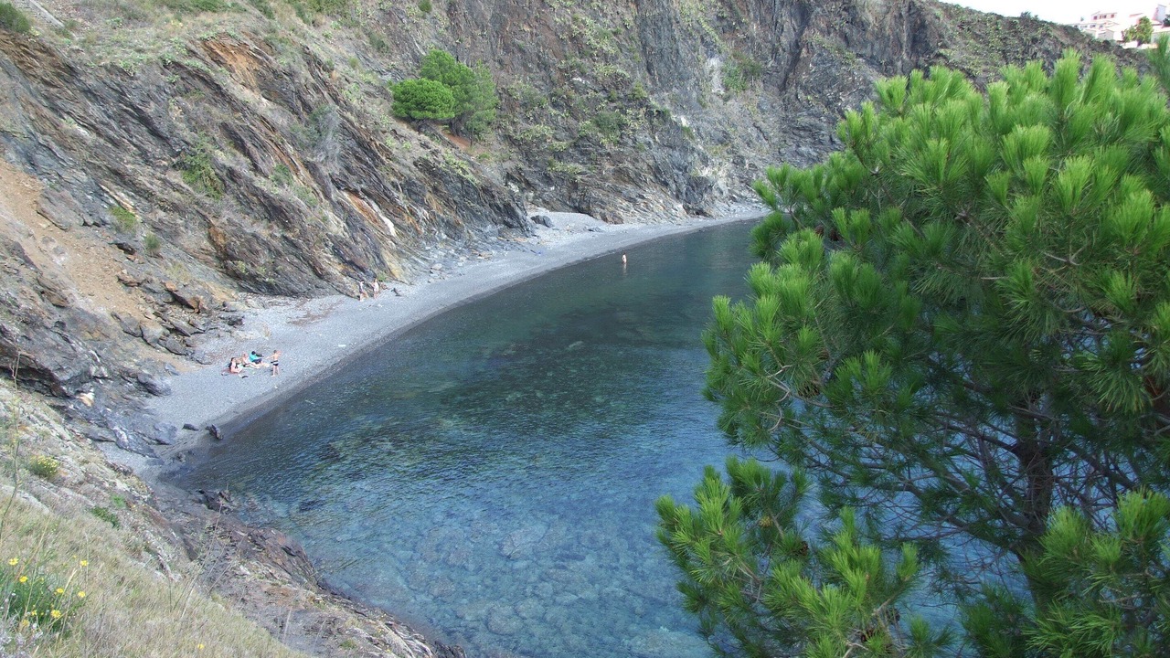 Photo of Others in Cerbere