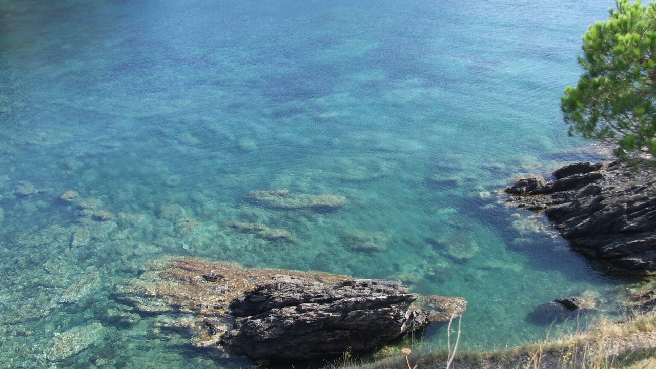 Photo of Others in Cerbere