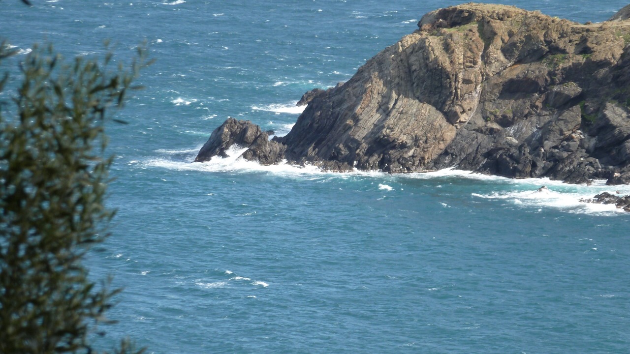 Photo of Others in Cerbere