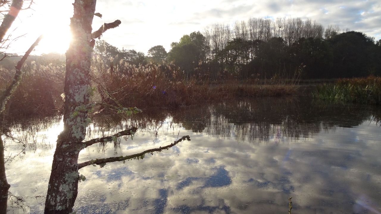 Photo of Others in Plurien