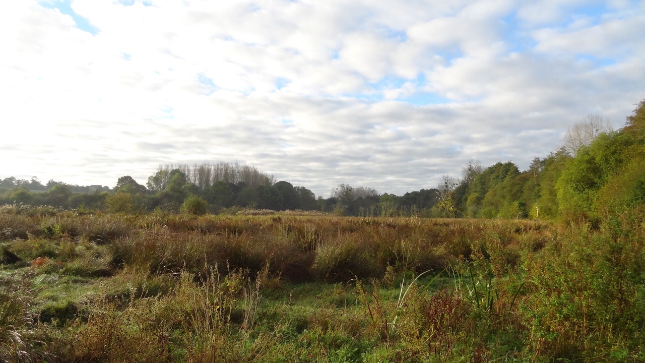 Photo of Outdoor in Plurien