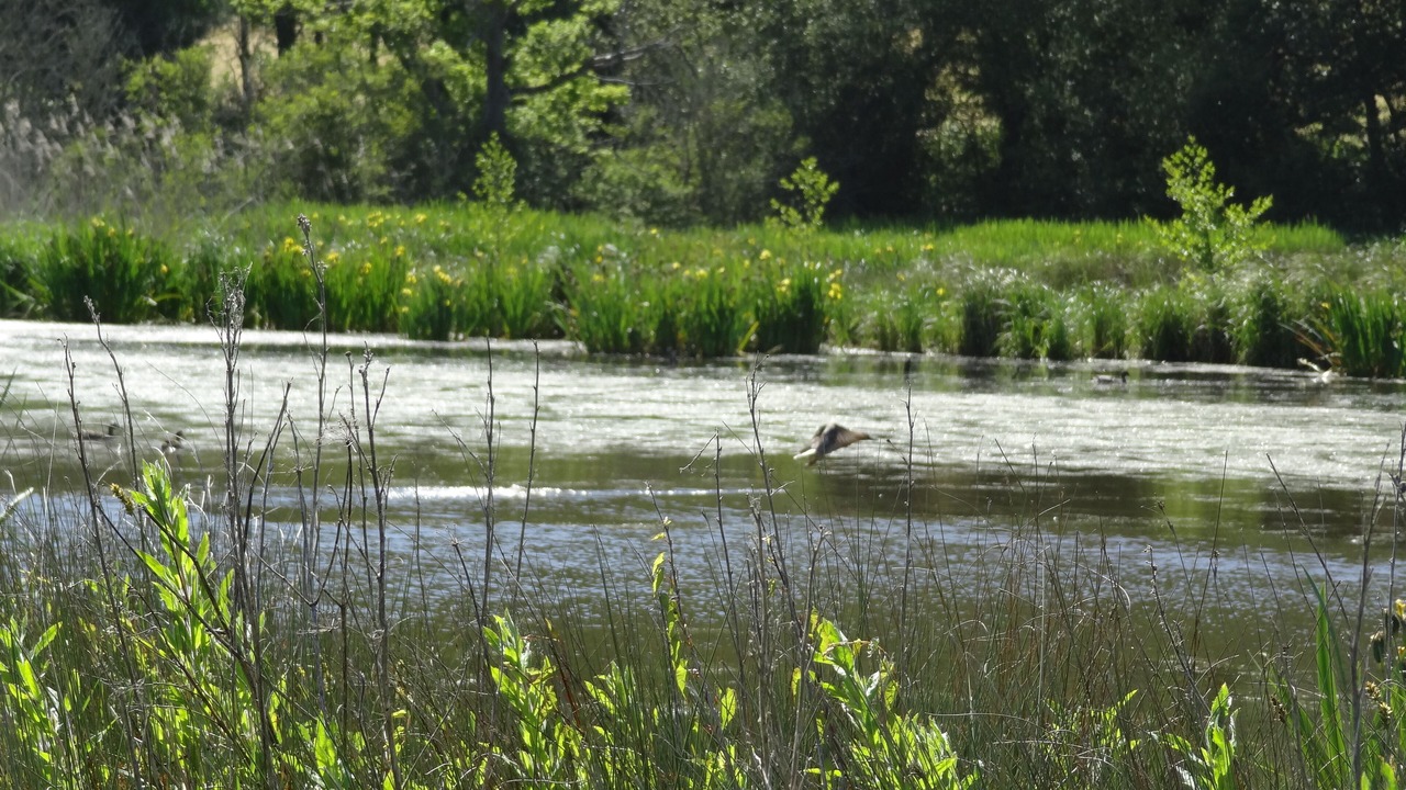Photo of Outdoor in Plurien