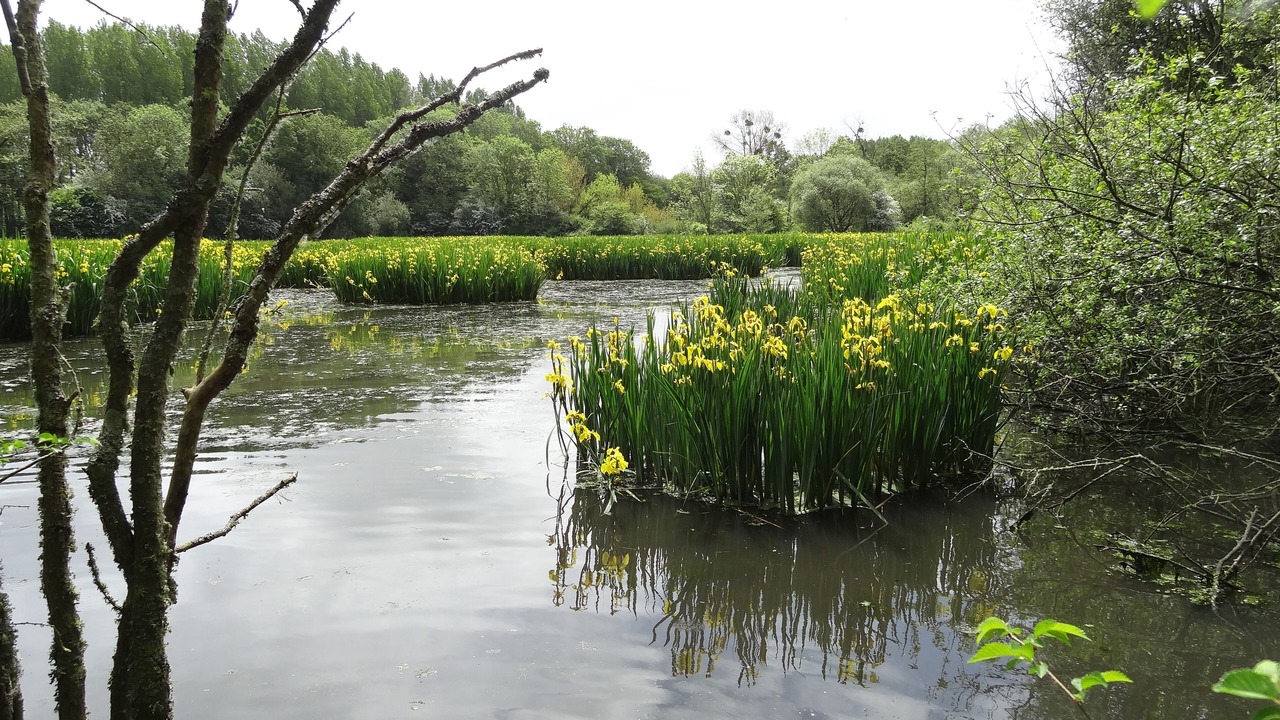 Photo of Outdoor in Plurien
