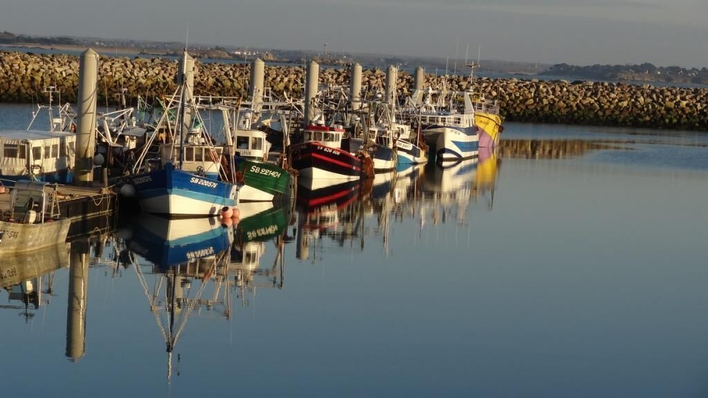 Photo of Others in Plurien