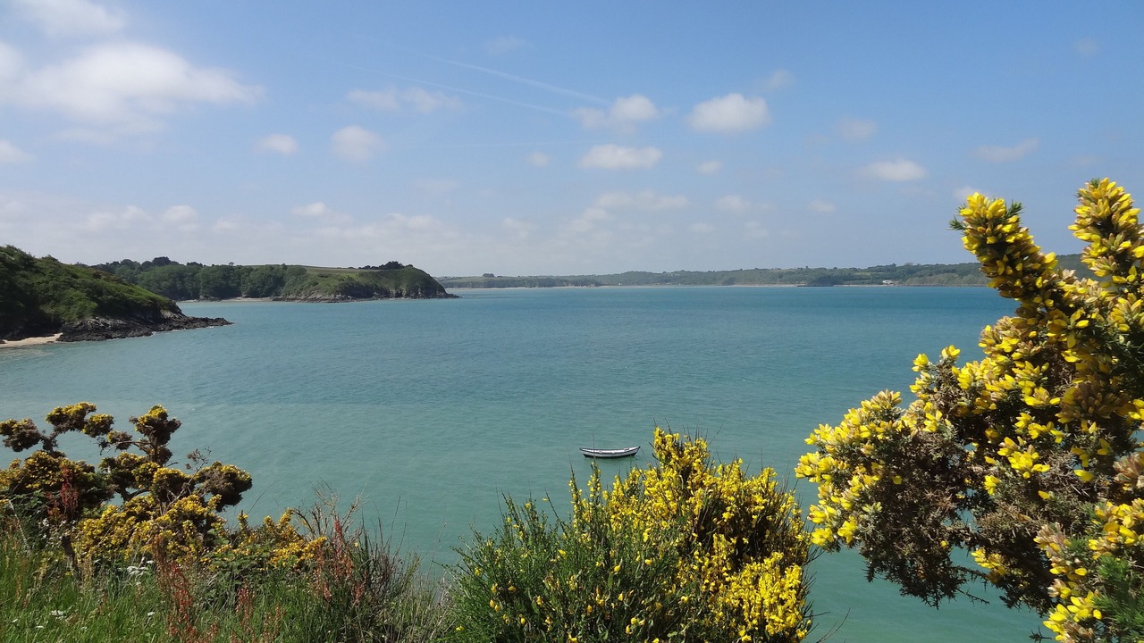 Photo of Others in Plurien